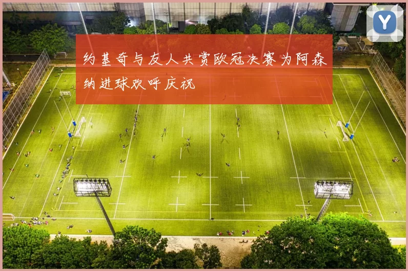 约基奇与友人共赏欧冠决赛为阿森纳进球欢呼庆祝